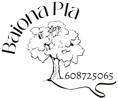 Associació de Veïns Baiona Pla